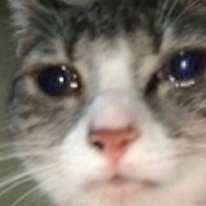 Meet your Posher, Erick